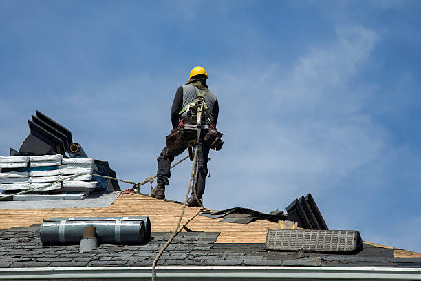 Professional Roof Replacement technician working in Parkers Lake, KY